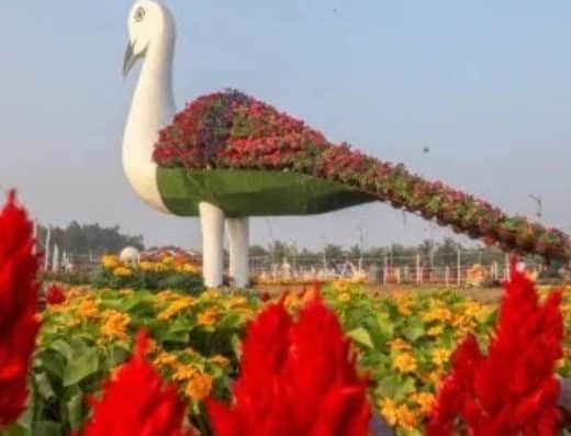 Under Flower Festival