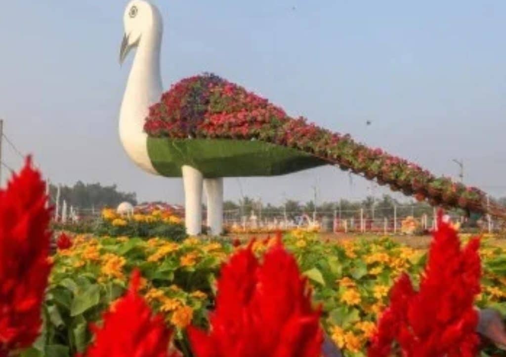 Under Flower Festival