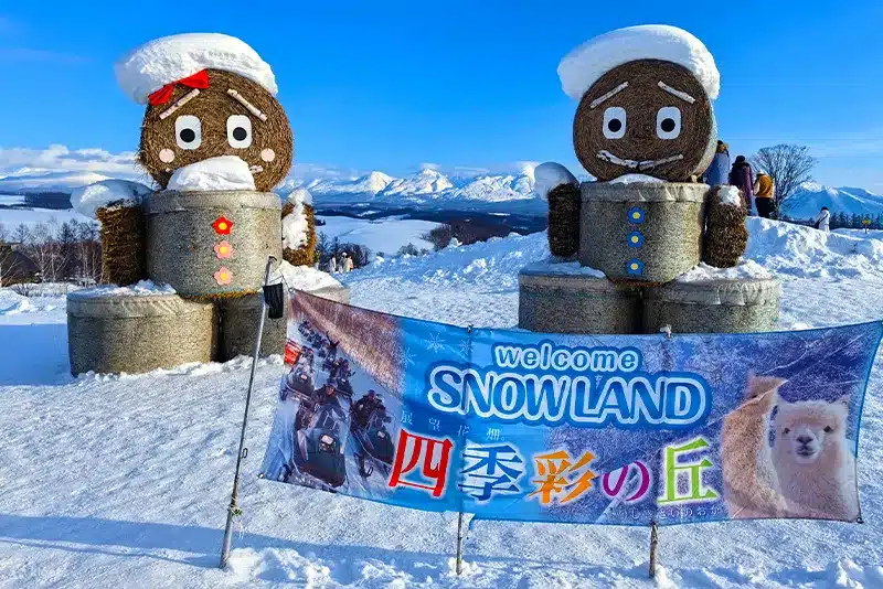 Hokkaido: Asahiyama Zoo & Ningle Terrace 1-Day Tour - Jasumo