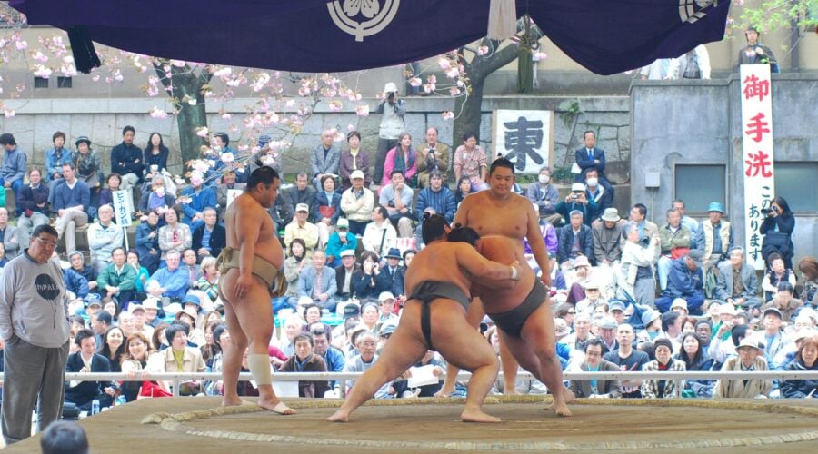 Unveiling the Sacred: The Mystical Rituals of Sumo Wrestling Explained