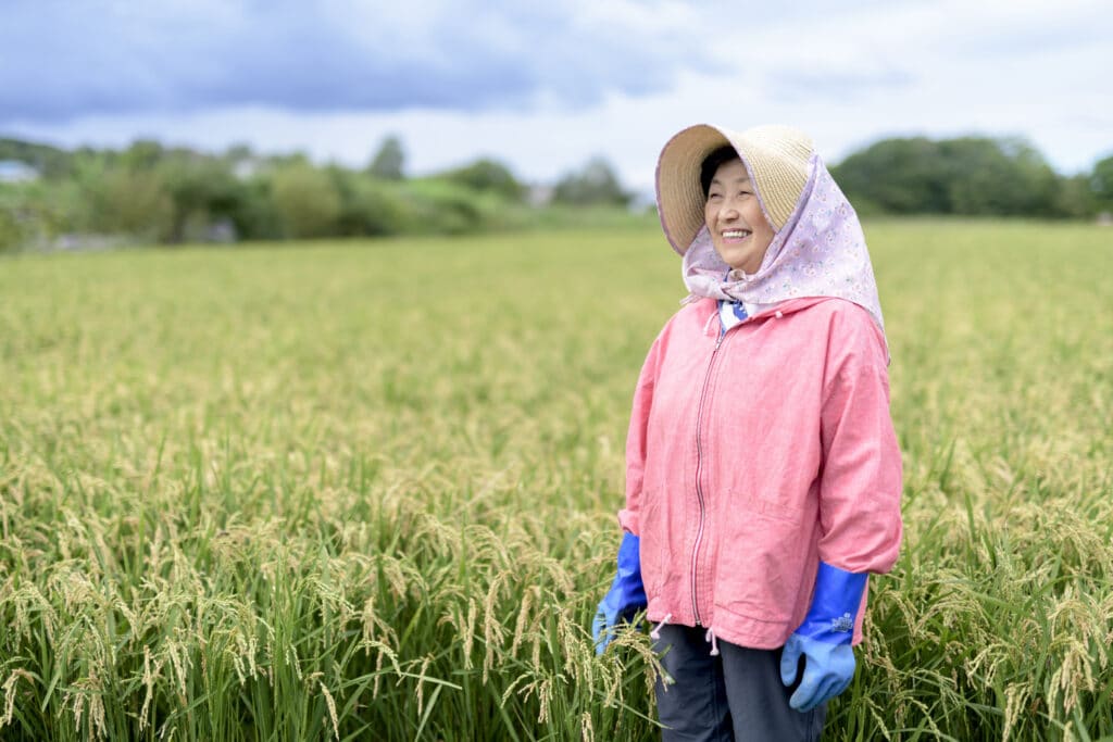 Japan Rice Shortage 2025
