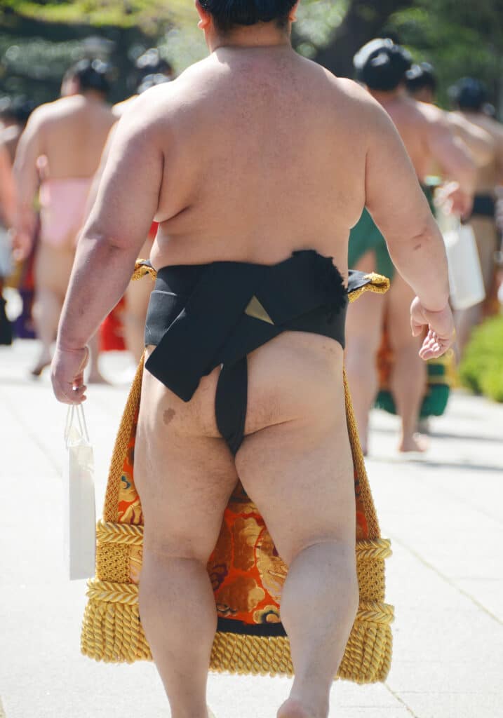 Sumo Mawashi Guide