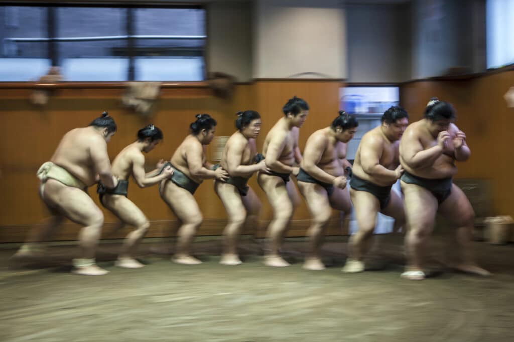 Makushita Tsukedashi Sumo Guide