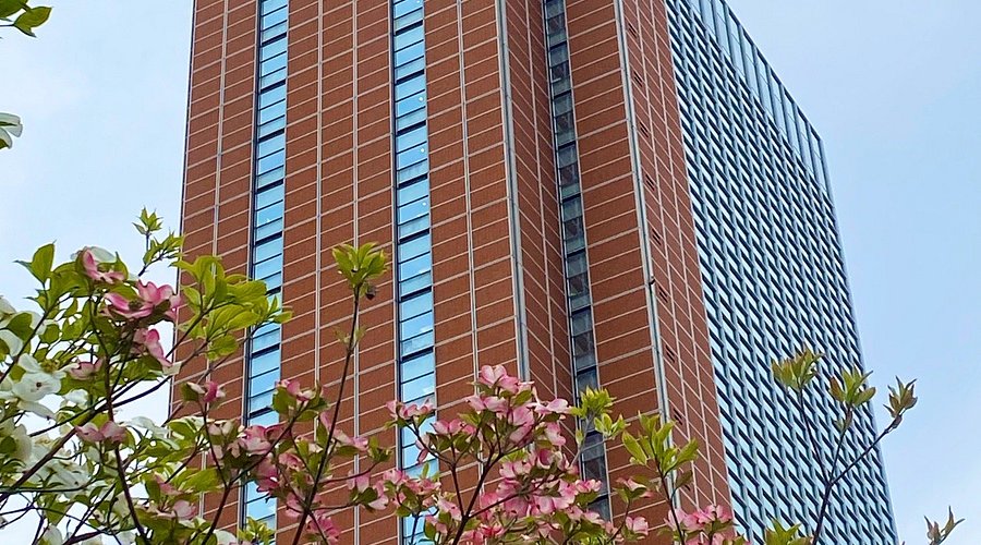 Things to Do in Shimokitazawa Tokyo
