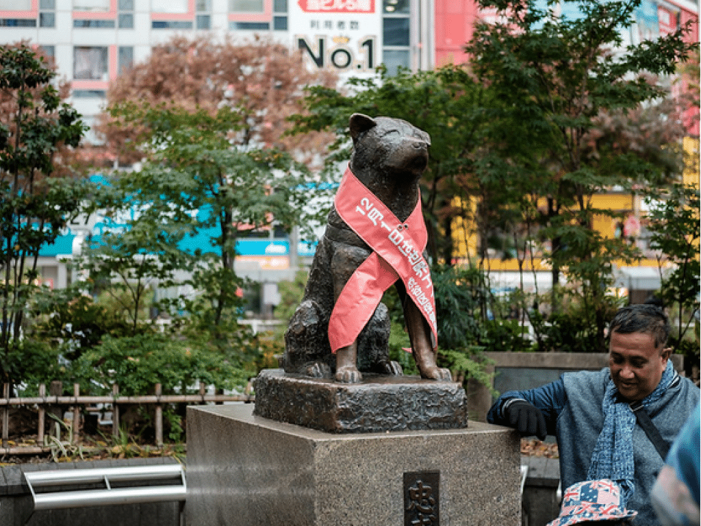 Things to Do in Shibuya Tokyo