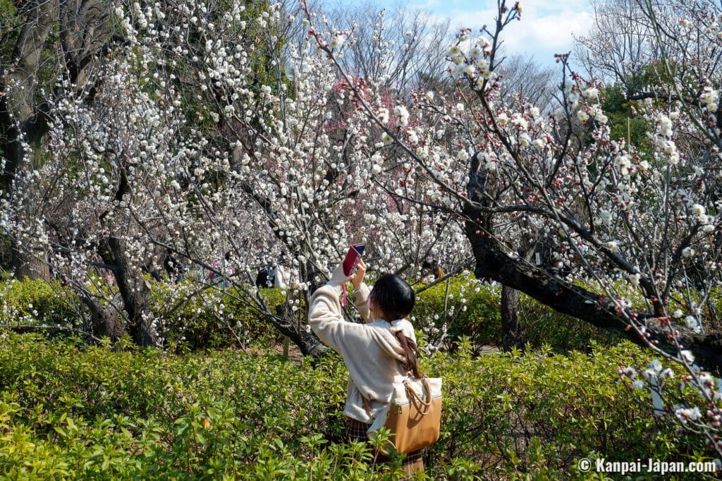 Things to Do in Shimokitazawa Tokyo