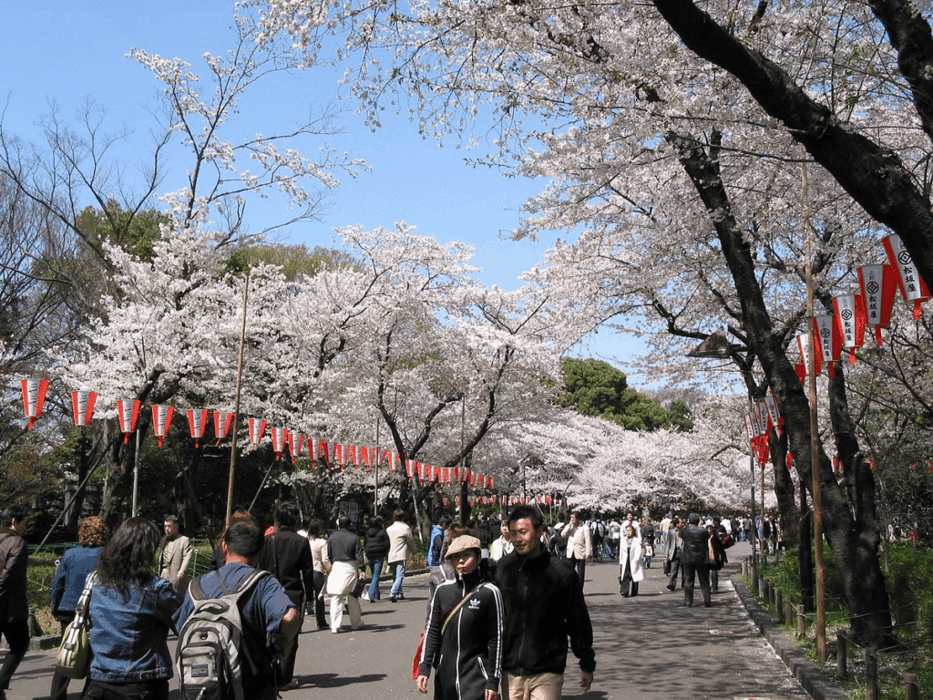 Ueno Travel Guide