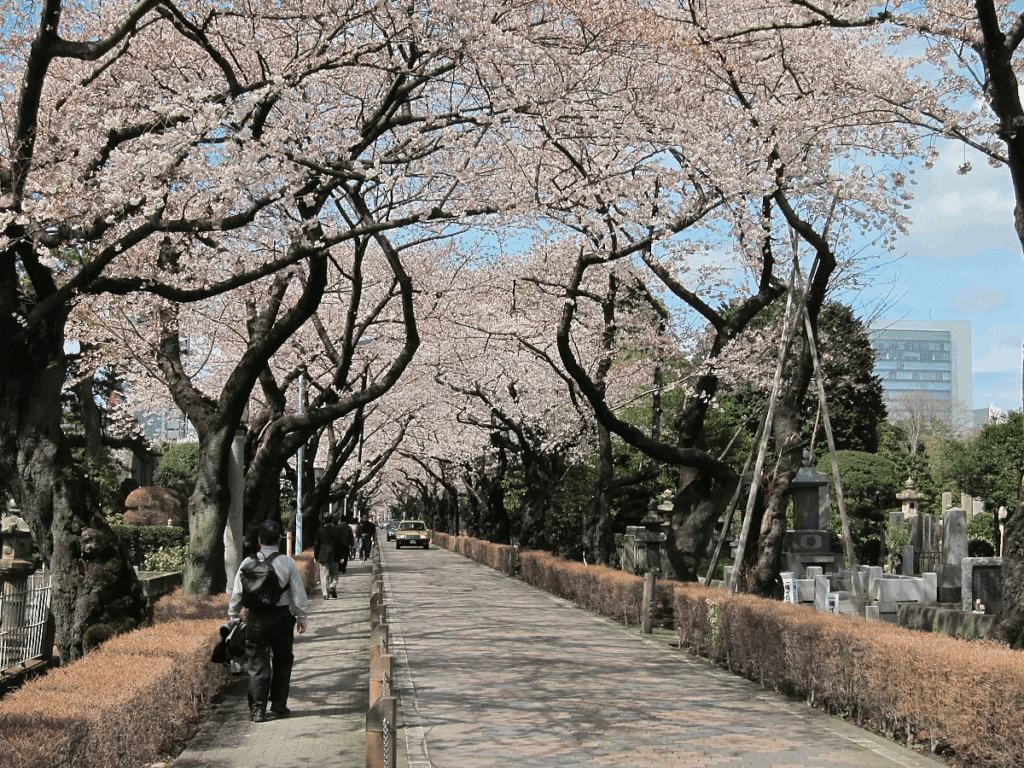 Roppongi things to do
