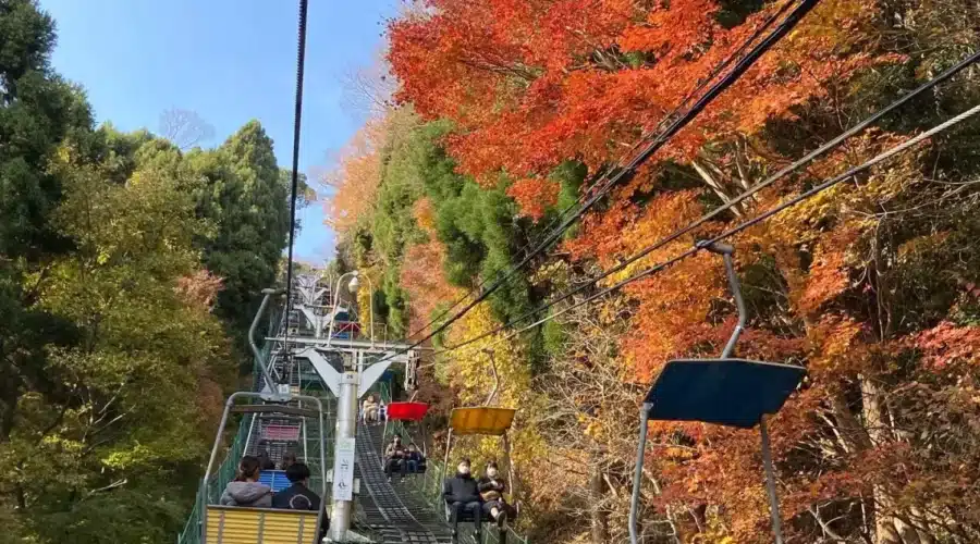 Mount Takao: A Refreshing Escape from Tokyo’s Urban Pace