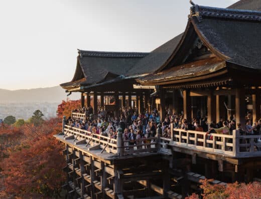 Tokyo Highlights: Private Cruise Shore Excursion & Port Tour