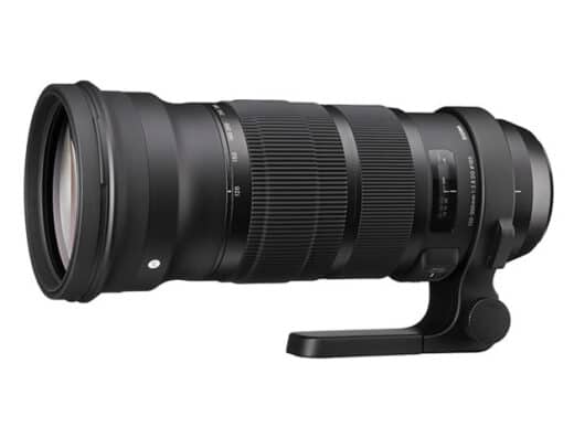 Sigma 120-300mm F2.8 DG OS HSM Sports Lens Rental in Japan