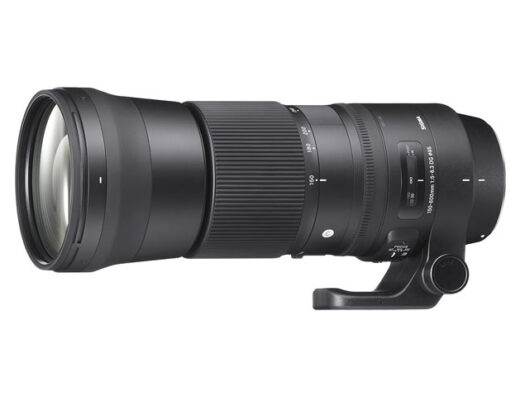 150-600mm F5-6.3 DG OS HSM Contemporary (Canon EF) Lens Rental in Japan
