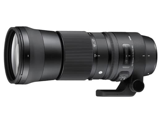 Sigma 150-600mm F5-6.3 DG OS HSM Contemporary (Nikon F) Rental in Japan