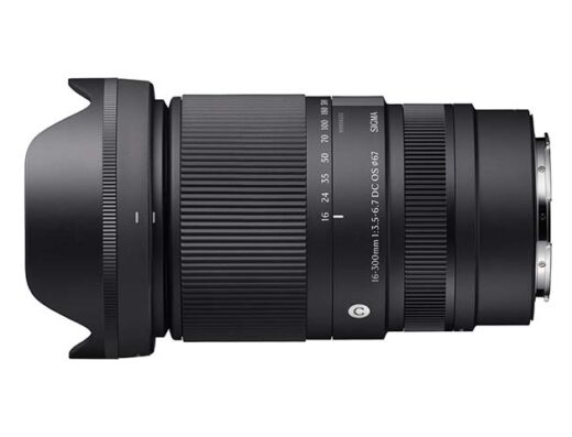 Sony 16-300mm F3.5-6.7 DC OS (Sony E APS-C) Rental in Japan