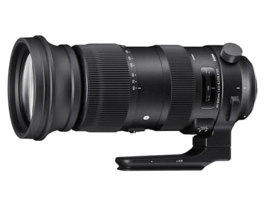 60-600mm f/4.5-6.3 DG OS HSM Sports (Canon EF) Rental in Japan
