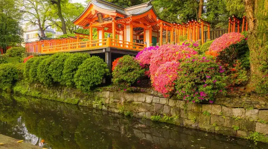 Hidden Gems: Tokyo’s Best Underrated Shrines and Gardens