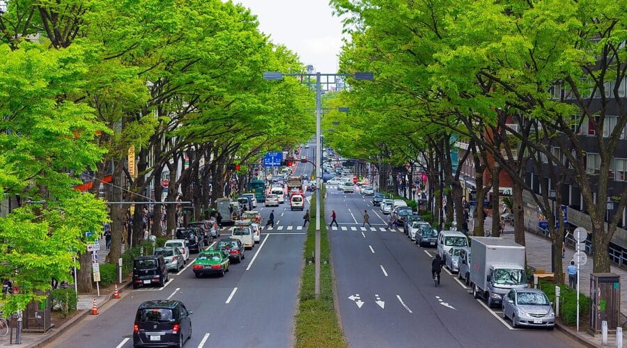 Why Tokyo Locals Love Omotesando: Hidden Gems and Everyday Magic