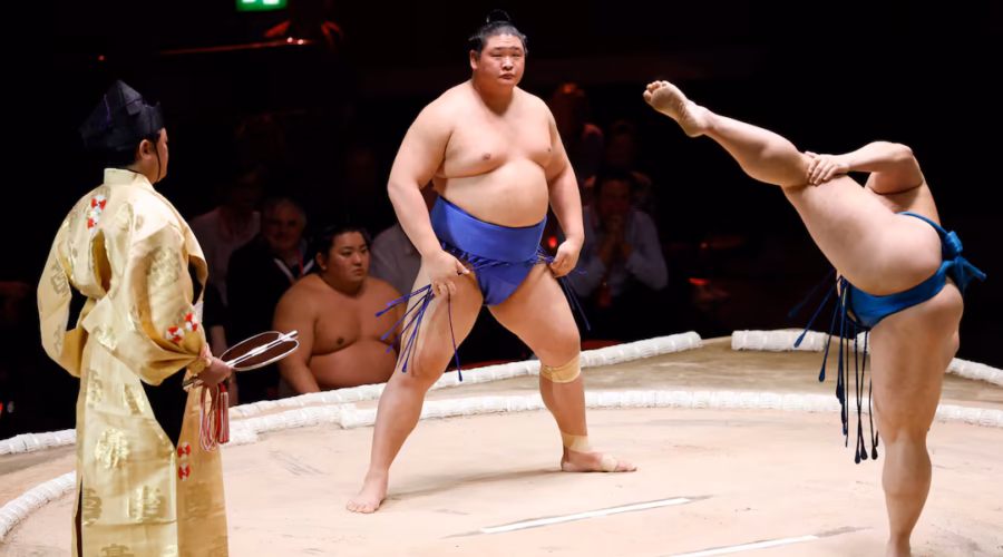Experiencing Sumo Culture at the January Grand Sumo Tournament (Hatsu Basho)