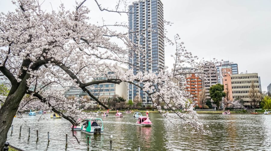 Ueno Park and Beyond: A Walking Tour Through Tokyo’s Cultural Heart
