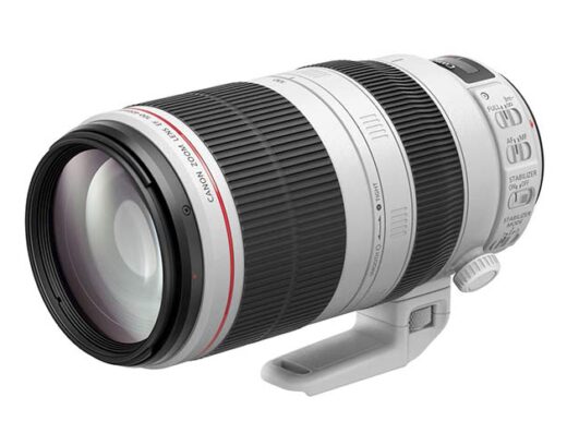 Canon EF 100-400mm F4.5-5.6L IS II USM Rental in Japan