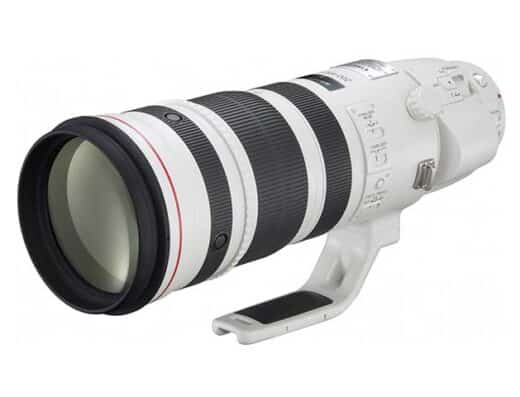 Canon EF 200-400mm F4L IS USM Extender 1.4X Rental in Japan