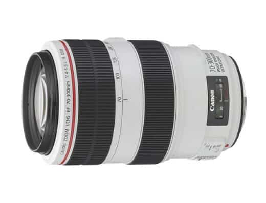 Canon EF 70-300mm F4-5.6L IS USM Telephoto Zoom Lens Rental in Japan