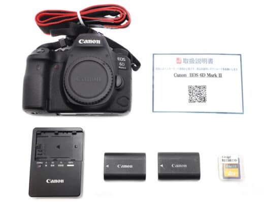 Canon EOS 6D Mark II Body Only Rental in Japan