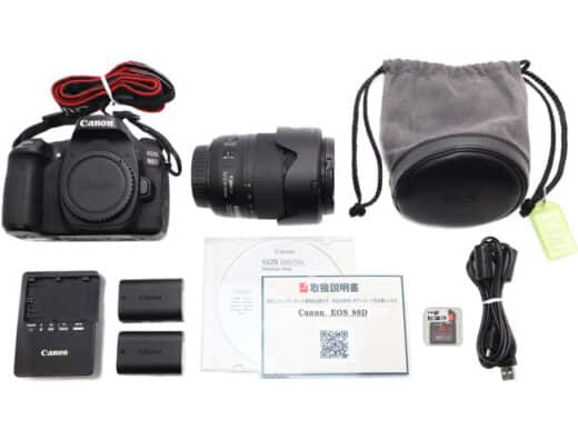 Canon EOS 80D (EF-S18-135mm F3.5-5.6 IS USM) Rental in Japan