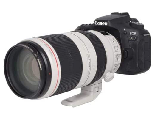 Sports Photography Set Canon B (90D, EF100-400mm II) Rental in Japan