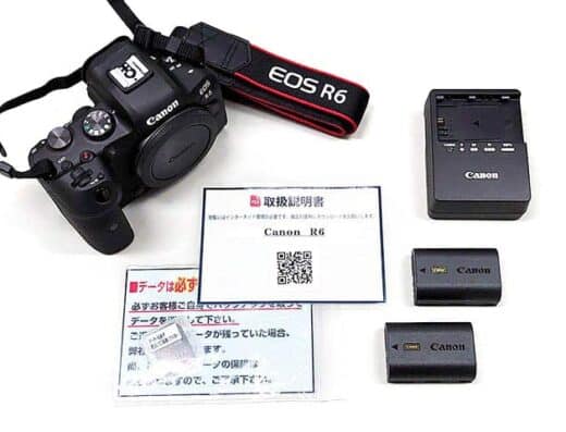 Canon EOS R6 Full-Frame Mirrorless Camera Body Rental in Japan