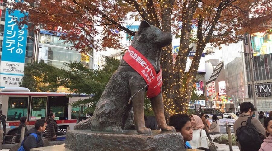 Free Things to Do in Shibuya