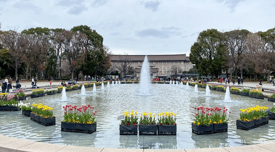 24 Hours in Tokyo Guide