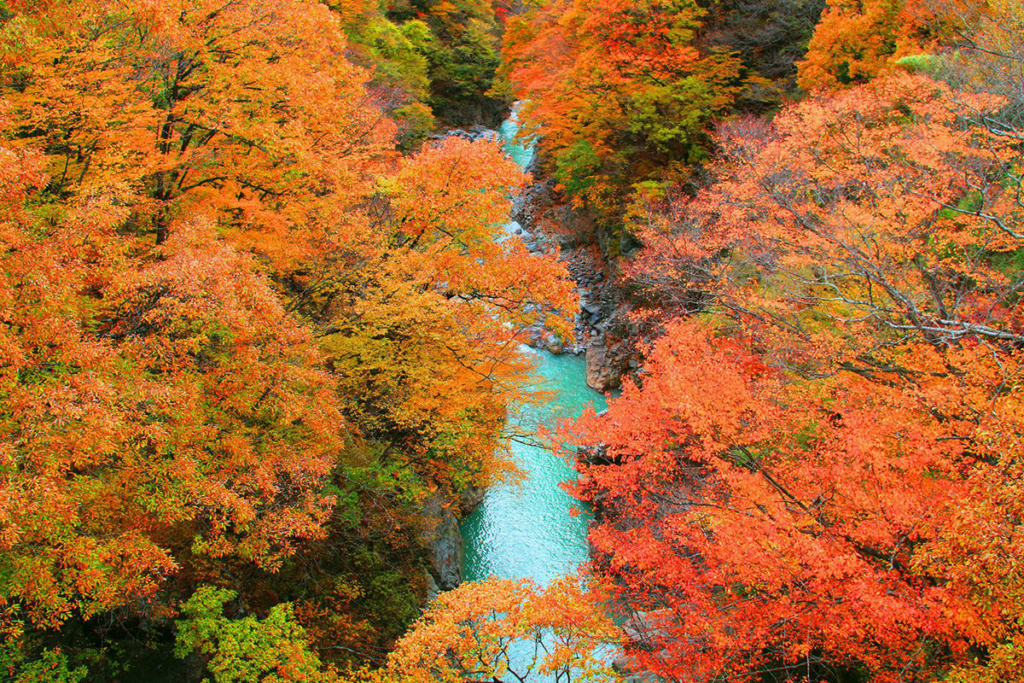 Gunma Mountains & Hot Springs