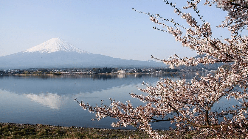 Easy Day Trips from Tokyo