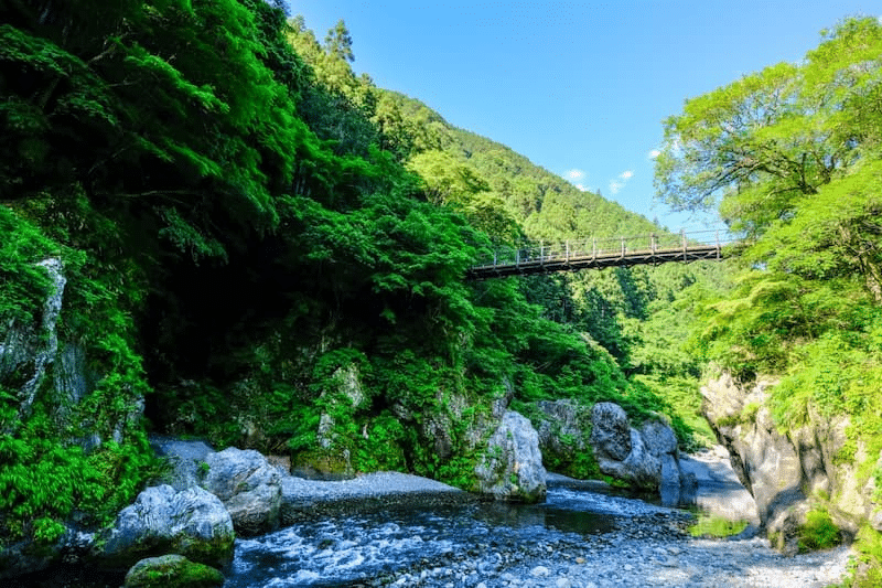 Tokyo Okutama