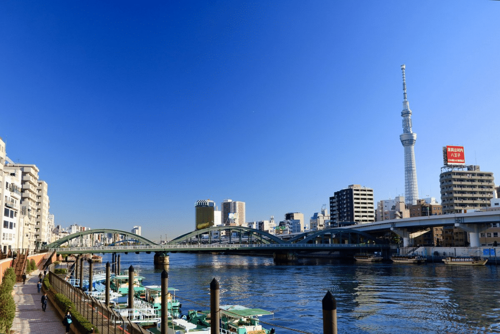 Tokyo's Traditional Center