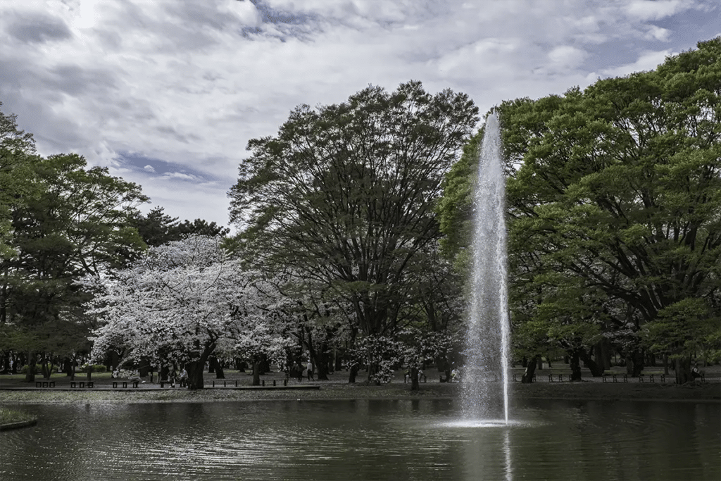 Things to Do in Shibuya