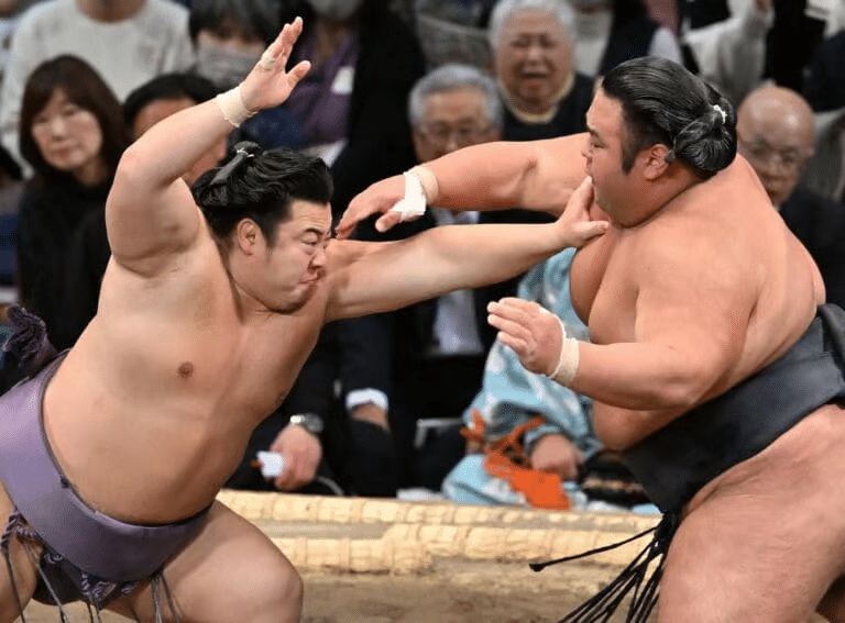Hatsu Basho Tokyo Guide
