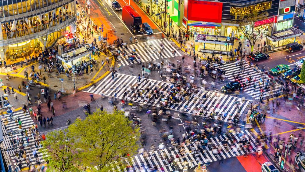 Where to Stay in Tokyo