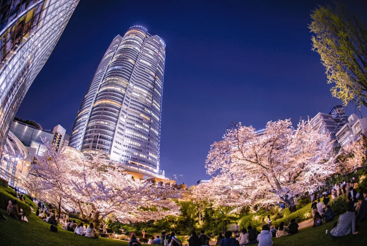 Where to Stay in Tokyo