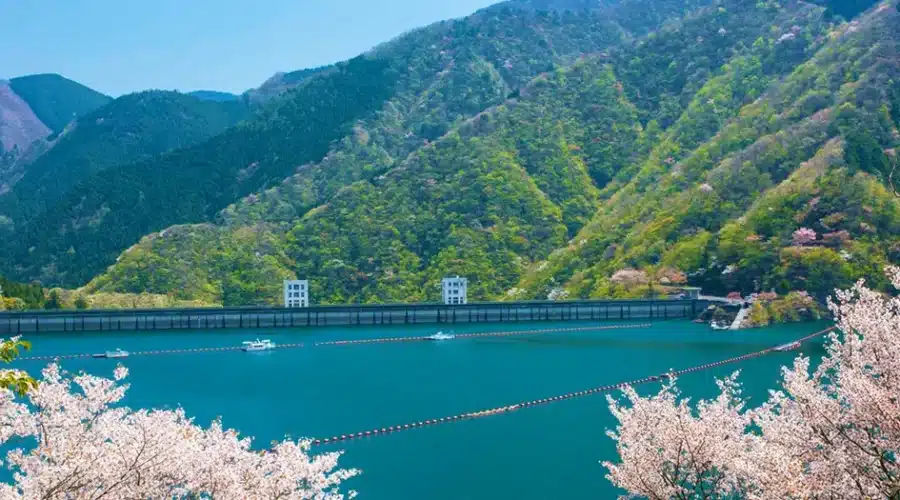Okutama: A Nature-Lover’s Paradise in Tokyo
