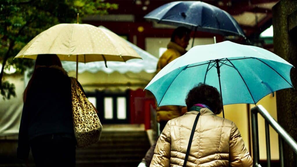 Rainy Day in Tokyo