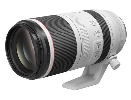 Canon RF 100-500mm f/4.5-7.1 L IS USM Rental in Japan