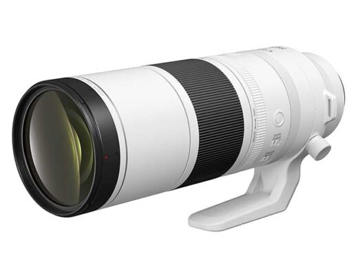 Canon RF 200-800mm f/6.3-9 IS USM Rental in Japan