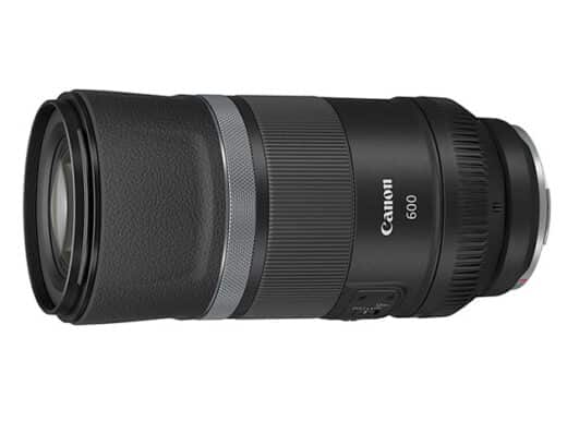 Canon RF 600mm f/11 IS STM Lens Rental in Japan