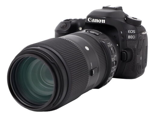 Sports Photography Set Canon (EOS 80D, SIGMA 100-400mm) Rental in Japan