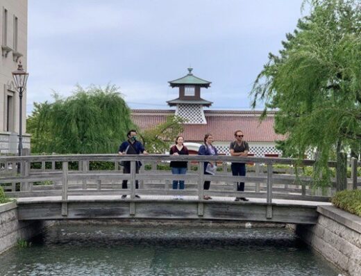 Niigata Historical Tour: Cruise Shore Excursion
