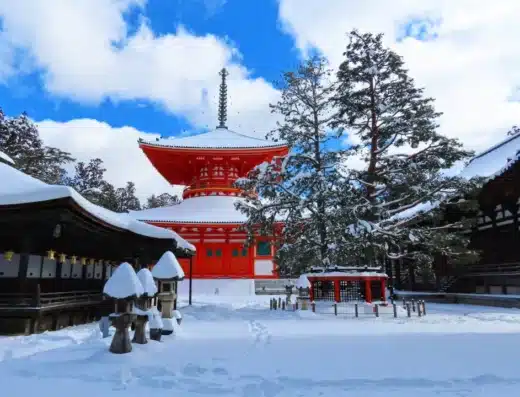 Sacred Mount Koya Temple Experience: Cruise Shore Excursion