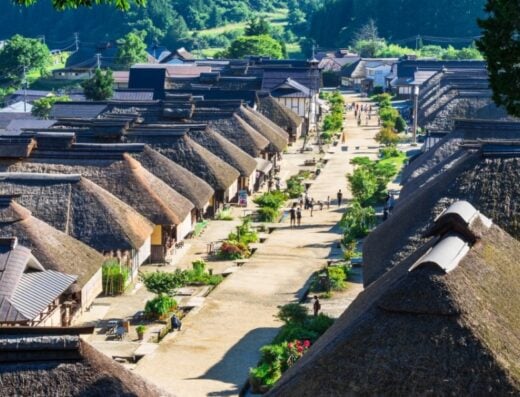Niigata Historical Tour: Cruise Shore Excursion
