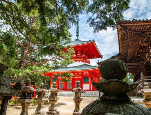 Sacred Mount Koya Temple Experience: Cruise Shore Excursion
